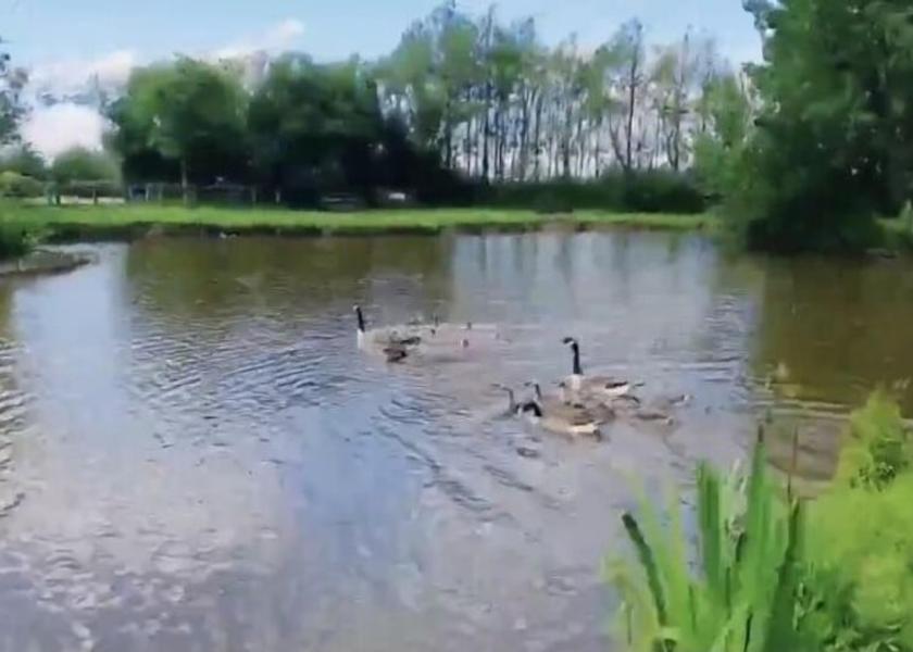 England Driffield Lake