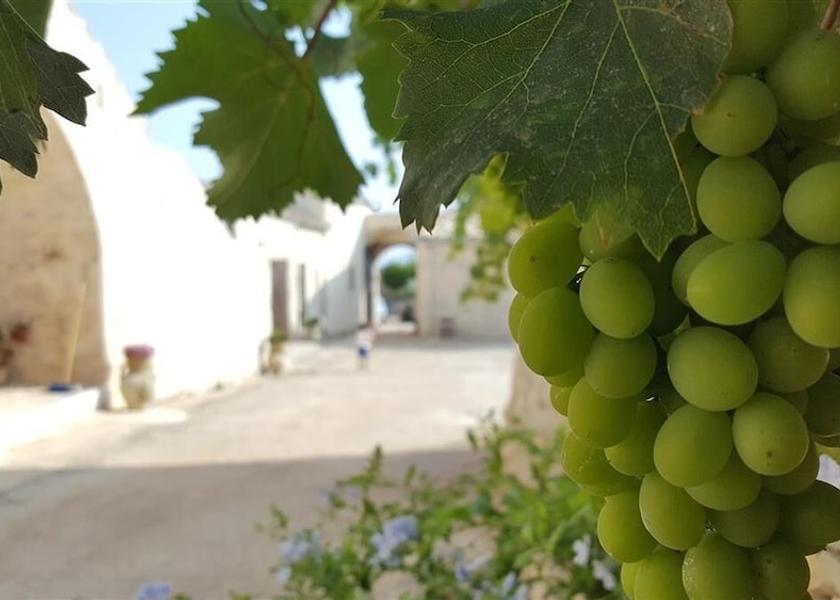 Sicily Scicli Exterior Detail