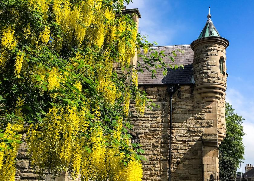 Scotland Selkirk Exterior Detail