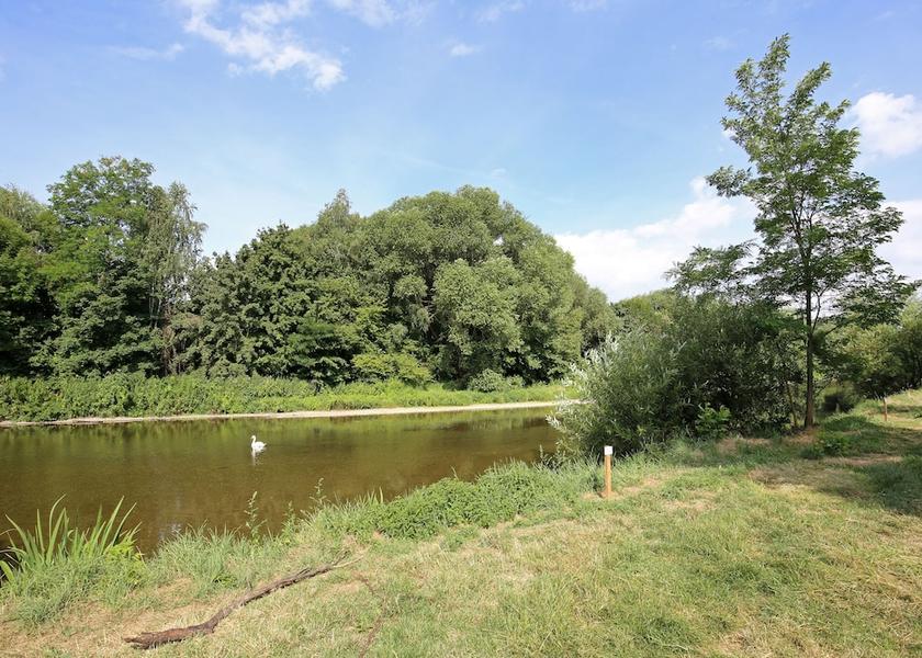 Grand Est Horbourg-Wihr Lake