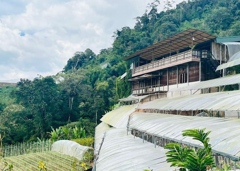 Pahang Brinchang Ropes Course (Team Building)