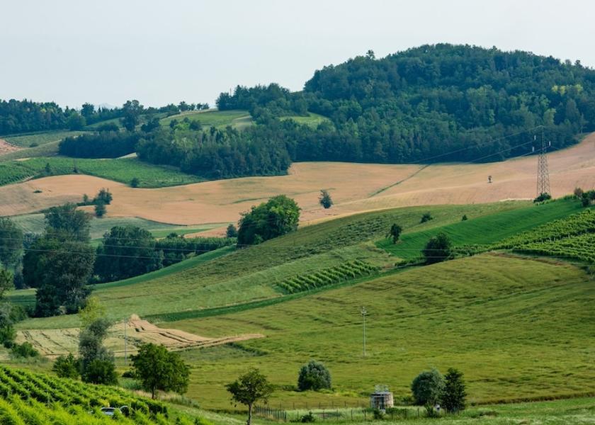Piedmont Penango View from Property