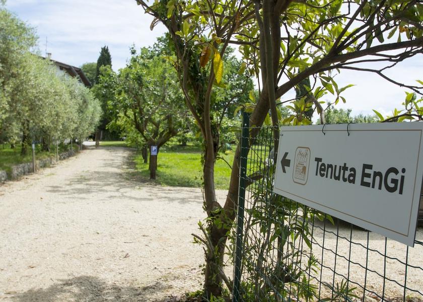 Veneto Sona Garden