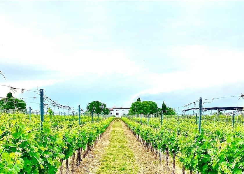 Veneto Sona Property Grounds