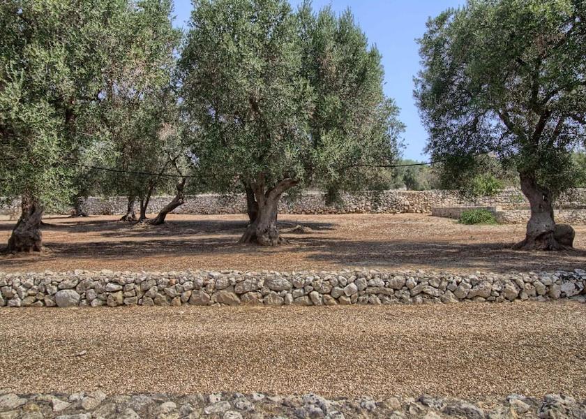 Puglia Castrignano del Capo Property Grounds