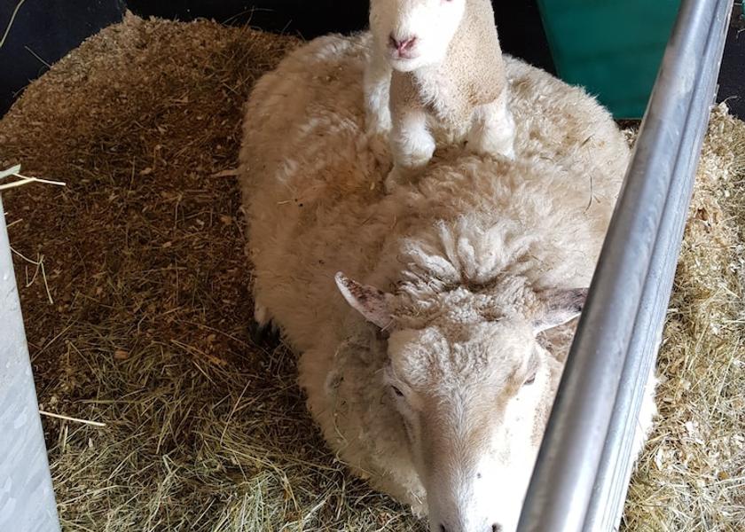 Northern Ireland Ballyclare Exterior Detail