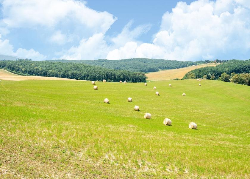 Tuscany Collesalvetti View from Property