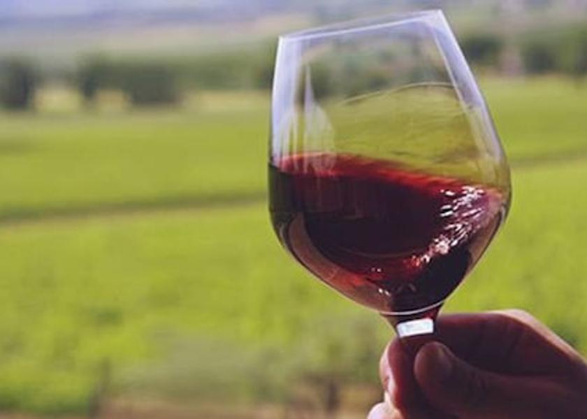 Tuscany Terranuova Bracciolini Winery