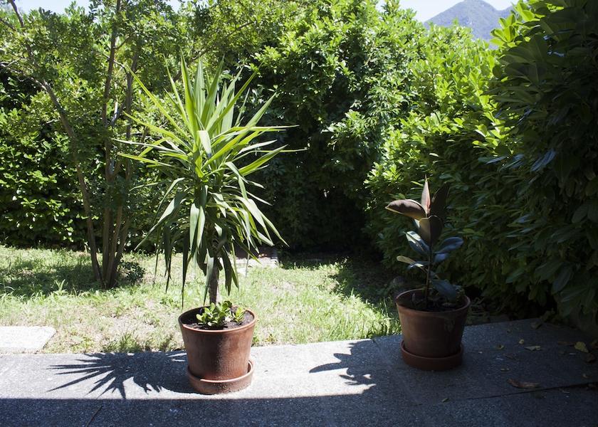 Emilia-Romagna Vergato Exterior Detail