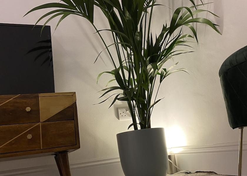 England Weston-super-Mare Interior Entrance