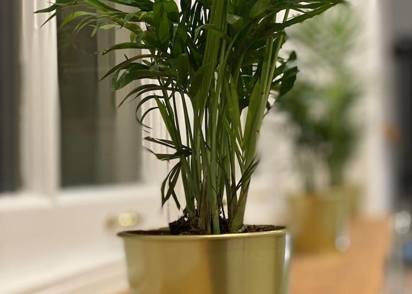 England Weston-super-Mare Interior Entrance