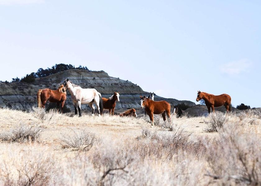 North Dakota Medora Interior Entrance