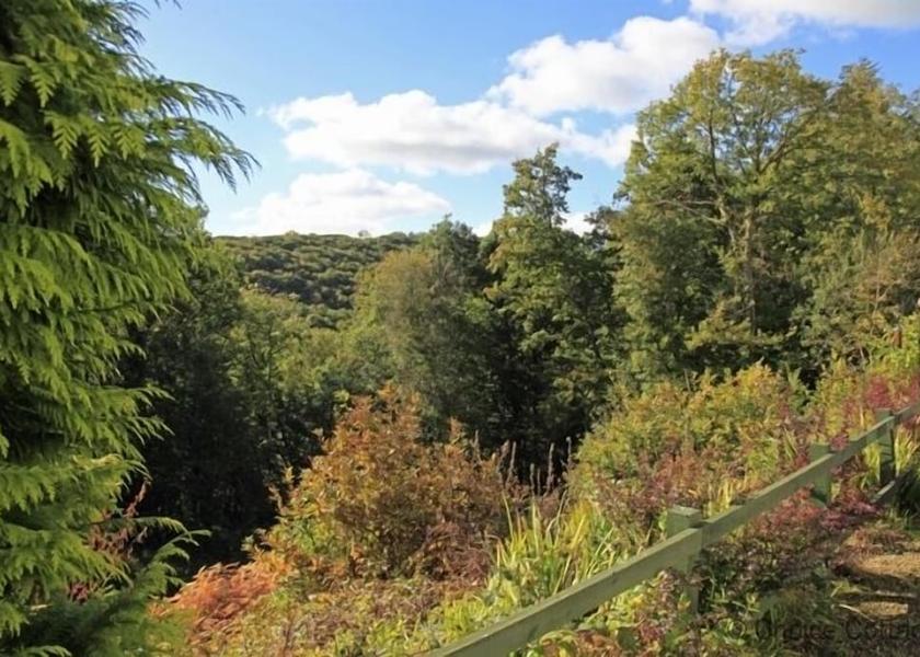 England Umberleigh Interior Entrance