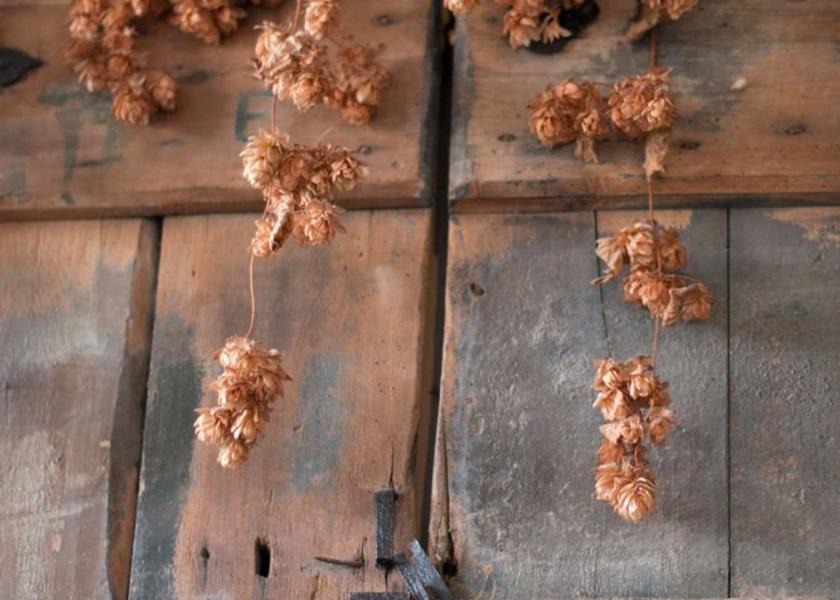 Wales Knighton Exterior Detail