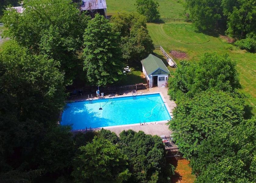 Virginia Middleburg Pool