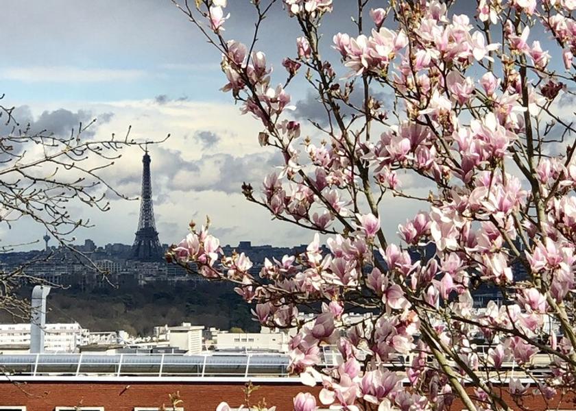 Ile-de-France Saint-Cloud Terrace