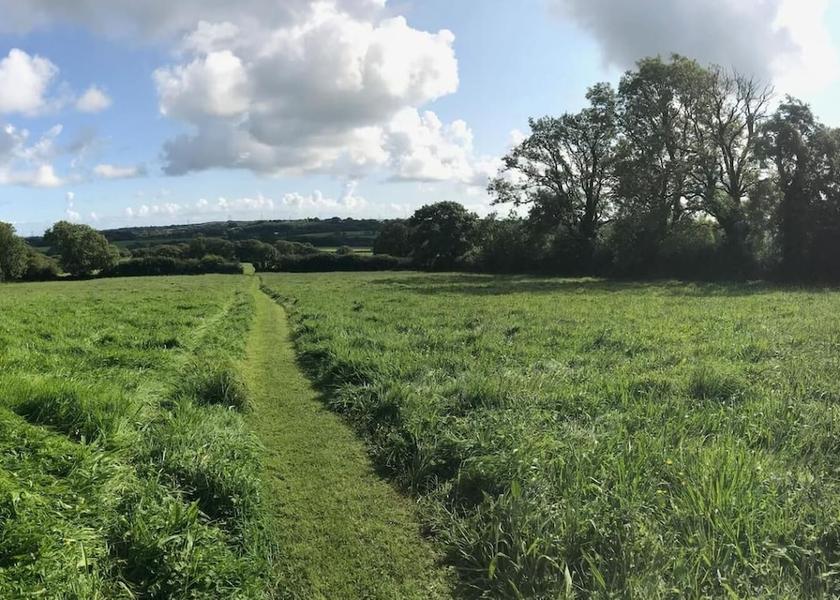 Wales Kilgetty Property Grounds