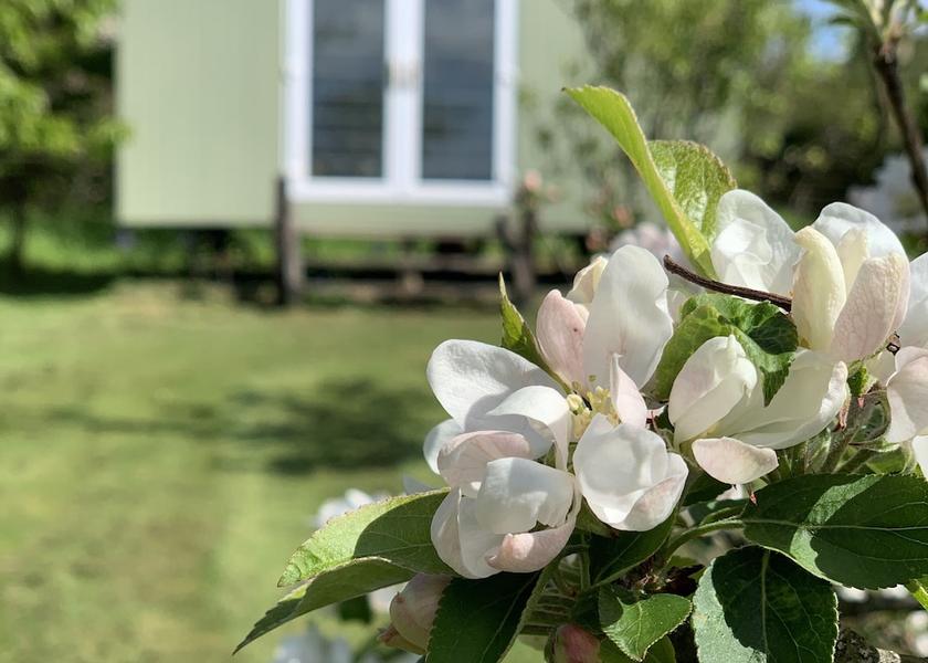 Wales Kilgetty Exterior Detail