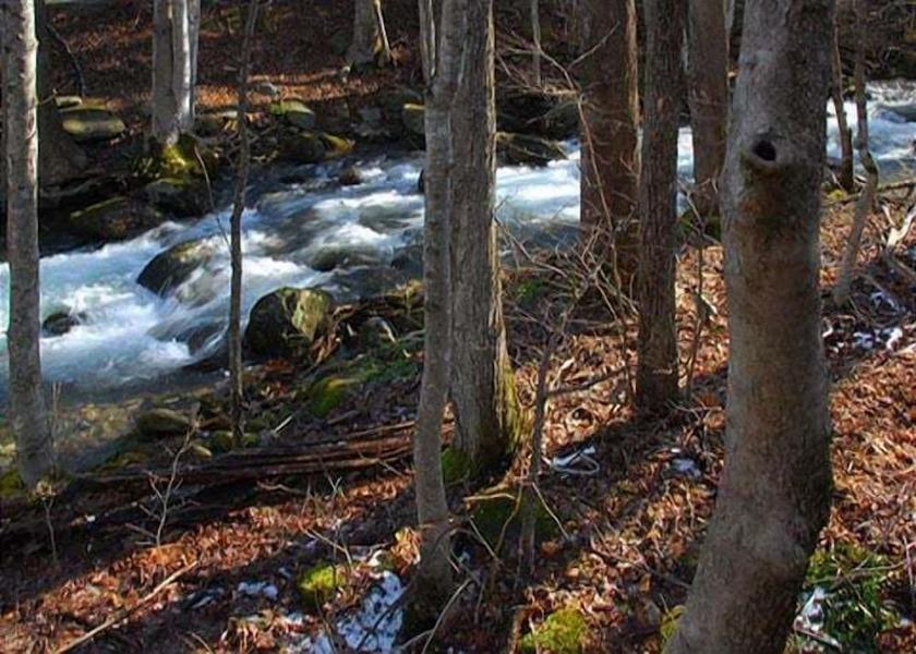 Tennessee Cosby Property Grounds