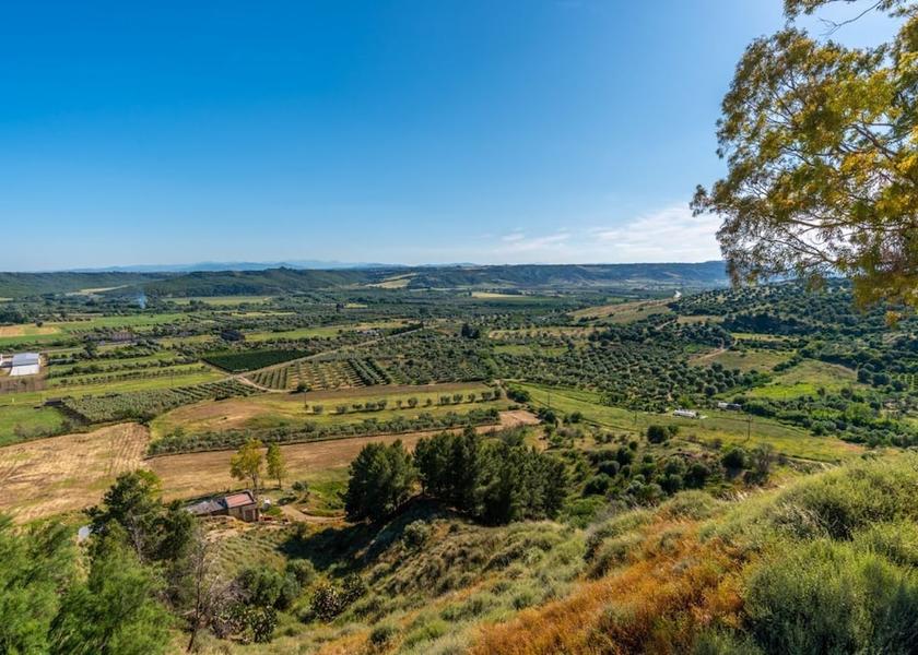 Basilicata Bernalda Land View from Property