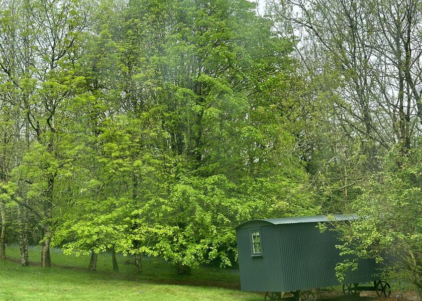 England Bodmin Property Grounds