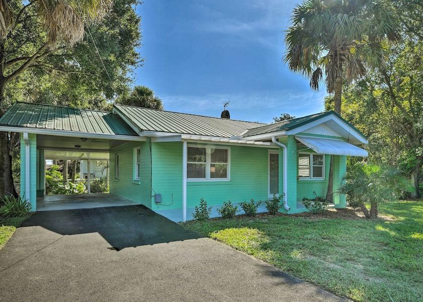 Florida Holly Hill Primary image