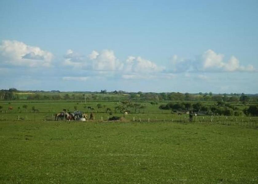 England Seahouses View from Property