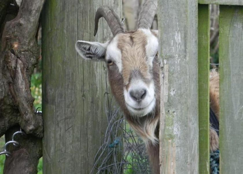 England Belford Exterior Detail
