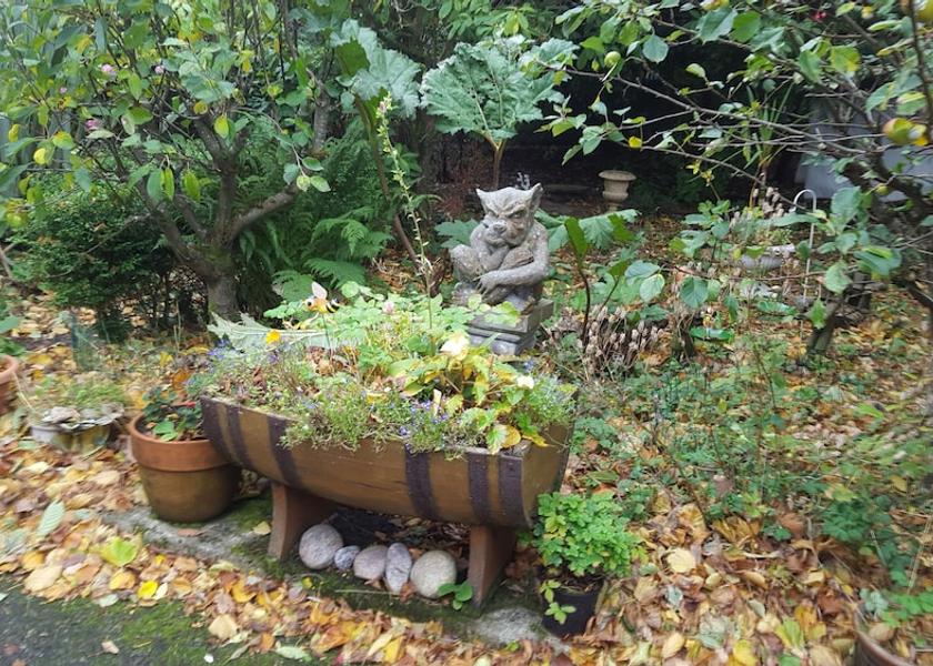 Scotland Stornoway Garden