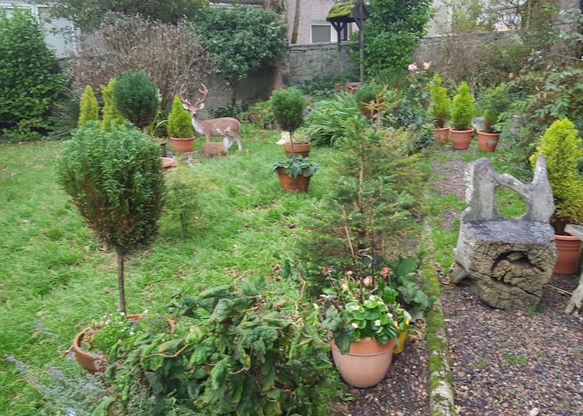 Scotland Stornoway Garden