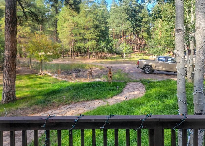 Wisconsin Bayfield Interior Entrance