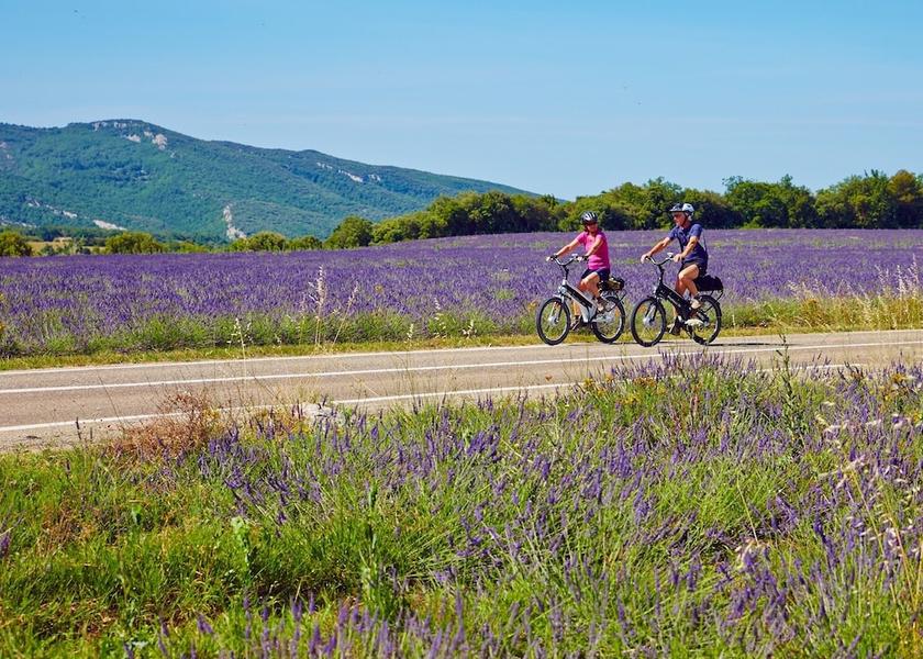 Provence-Alpes-Côte d'Azur Pernes-les-Fontaines Bicycling