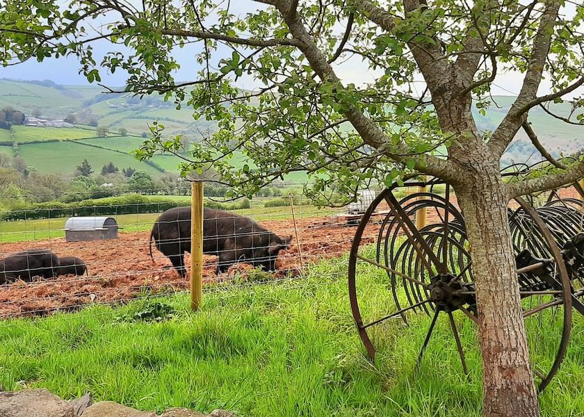 England Craven Arms Property Grounds
