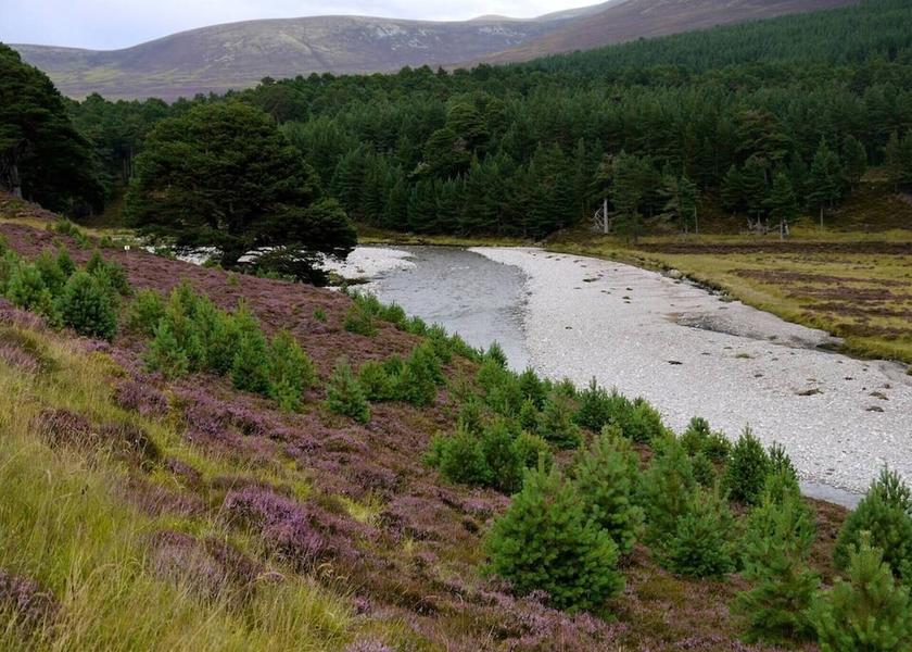 Scotland Ballindalloch Property Grounds
