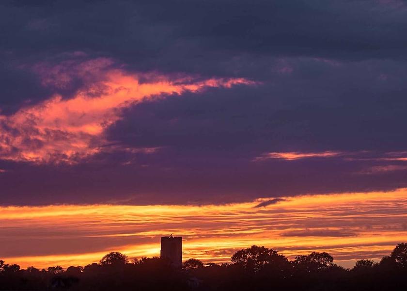 England Dereham Land View from Property