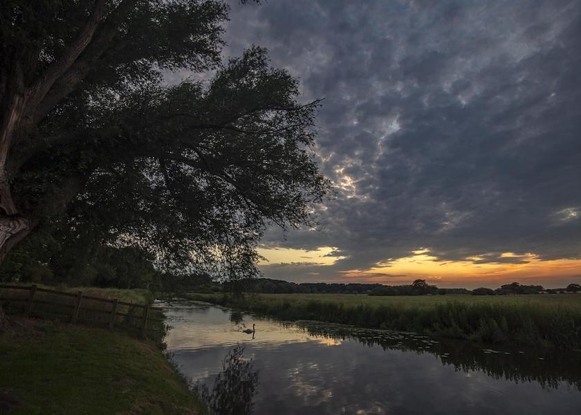 England Dereham Garden