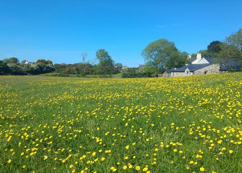 Wales Holyhead Exterior Detail