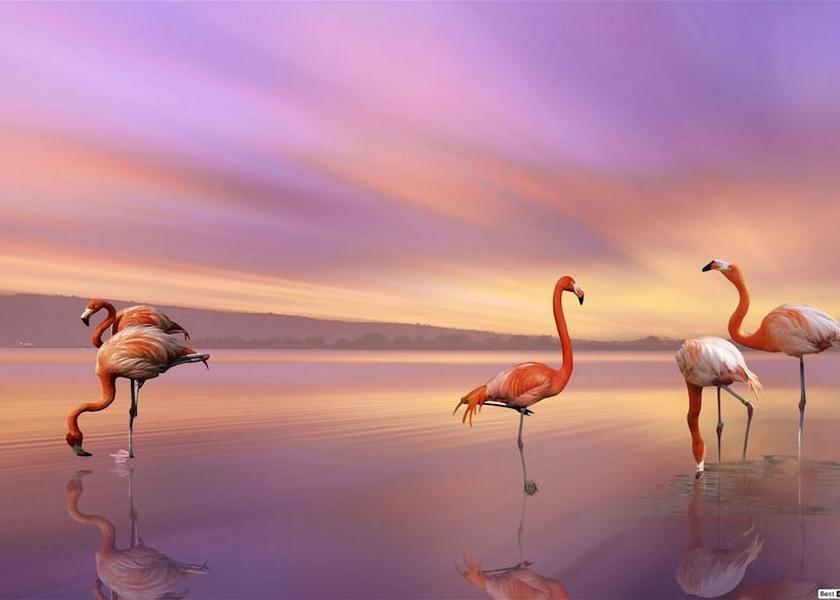 Emilia-Romagna Comacchio Exterior Detail