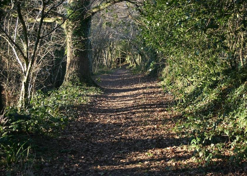 Land View from Property