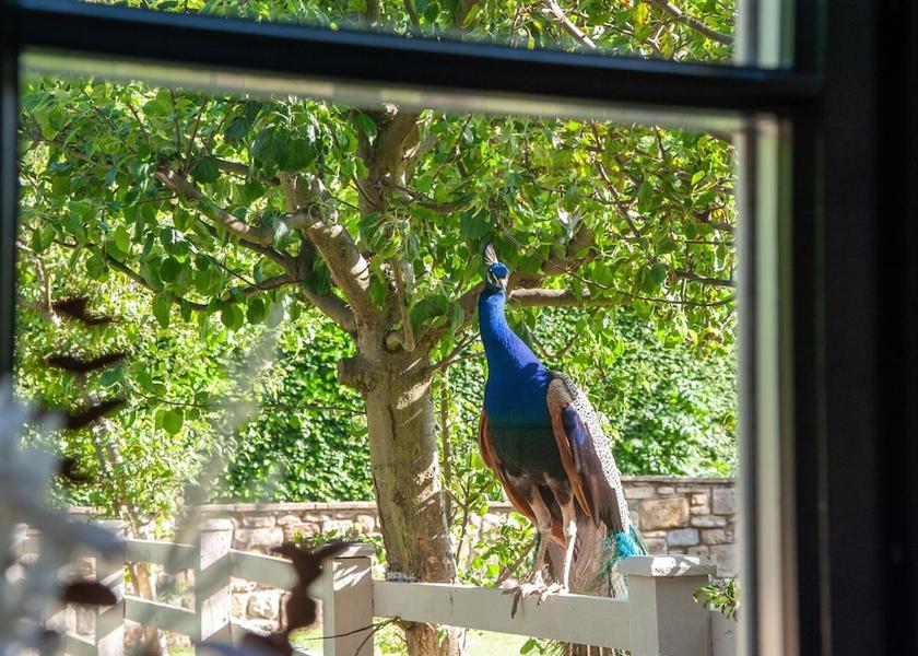 England Chathill Garden