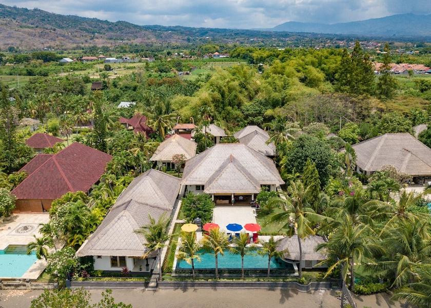 Bali Banjar Aerial View