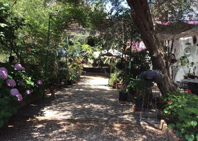 Calabria Zambrone Garden