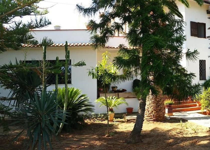 Calabria Zambrone Garden