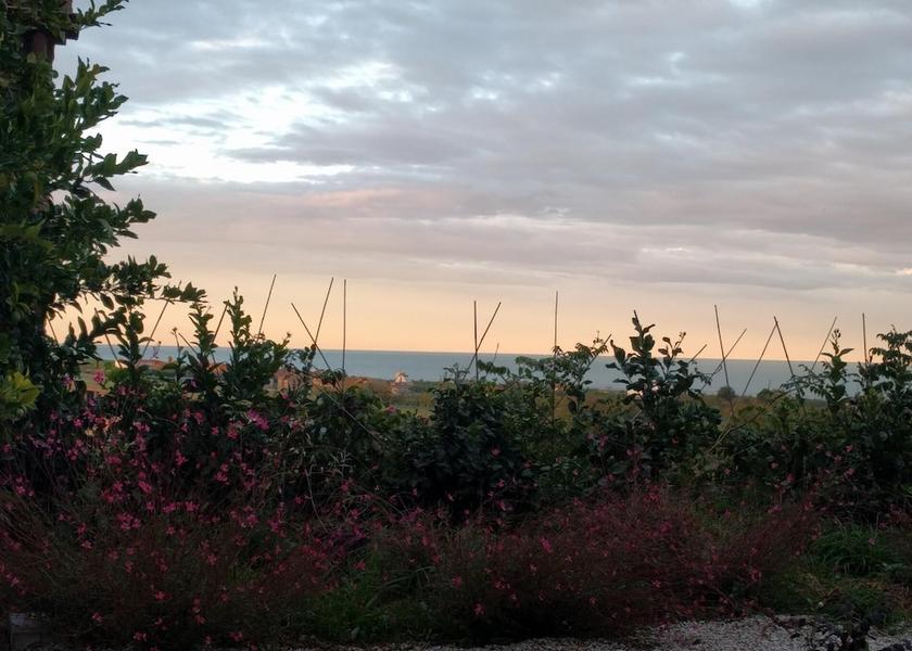 Marche Cupra Marittima Exterior Detail