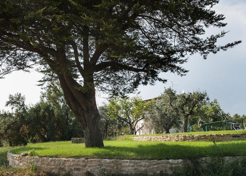 Marche Cupra Marittima Exterior Detail