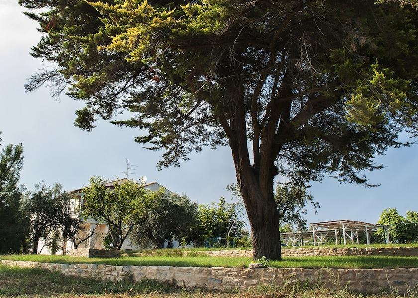 Marche Cupra Marittima Exterior Detail