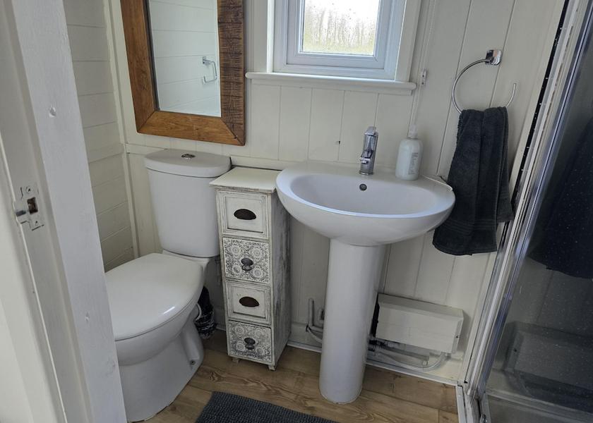 Wales Welshpool Bathroom