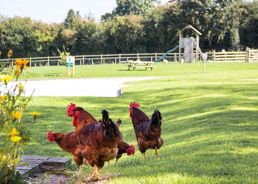 England Uttoxeter Property Grounds