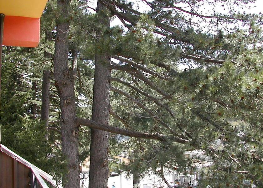 Calabria Spezzano della Sila View from Property