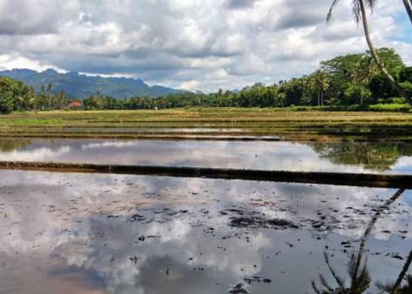  Borobudur Exterior Detail